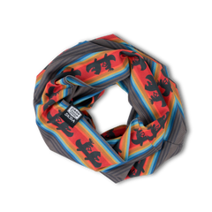 ‍Vermont SKIDA Snow Tour (100% off)